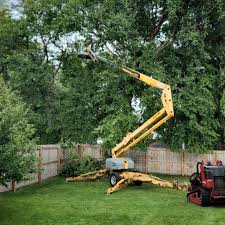 Best Arborist Consultation Services  in Krum, TX